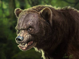 Old Baldy - Bear Character