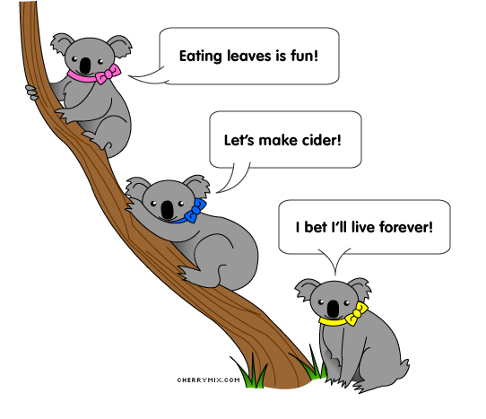 Things koalas might say