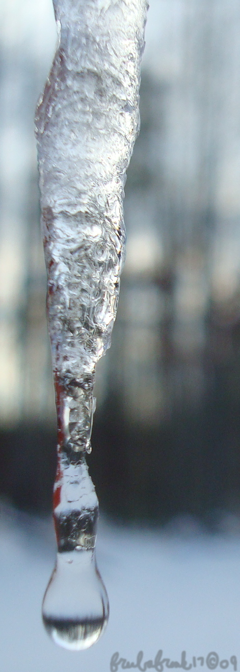 Icicle Drop I