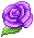 F2U Purple Rose