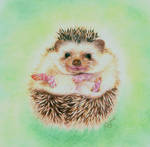 Hedgehog by SimplyACat