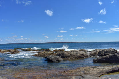 Ocean - Whale Rock Trail