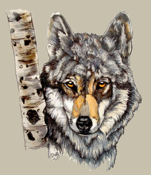 TIMBER WOLF by CRYROLFE on DeviantArt