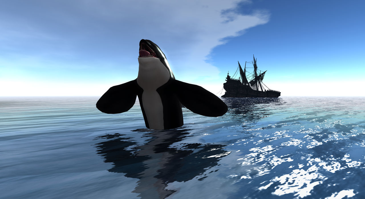 Spock, the Orca, hamming it up for the camera by Sepherya on DeviantArt