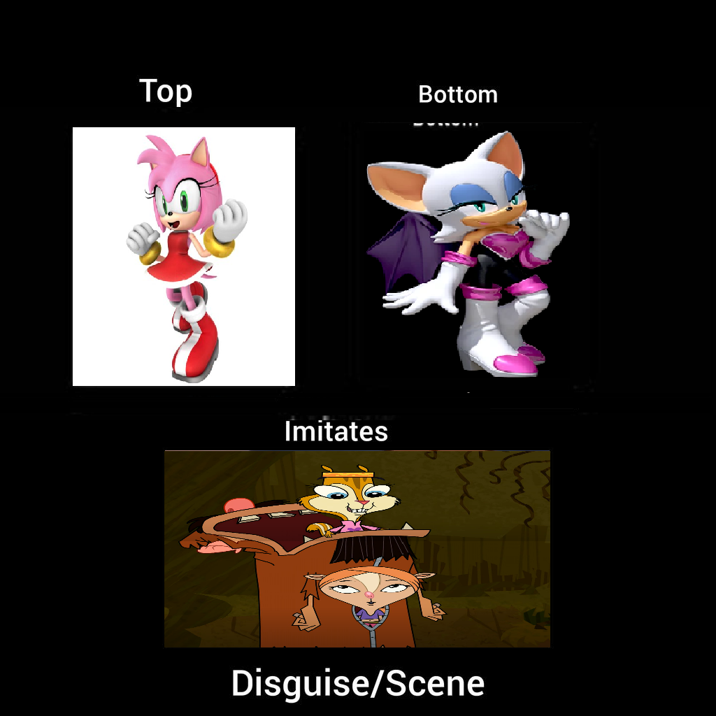 Amy and Rouge Imitate Zoop and Kira by powerpup97 on DeviantArt