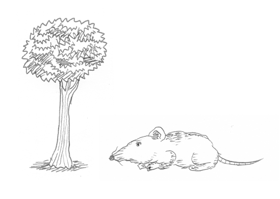 Tree And Rat