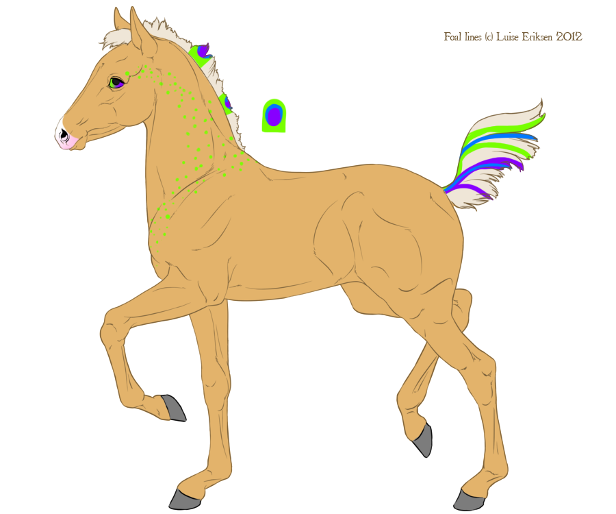 Foal Design #7119