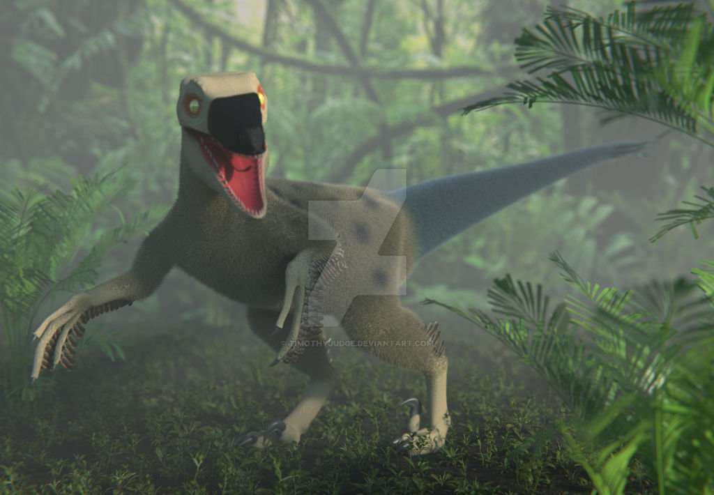 Raptor Rider Deviantart Raptor by TimothyJudge on DeviantArt