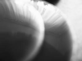 grey circles 3
