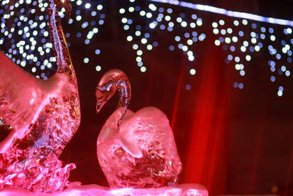 Ice 2009 - 11
