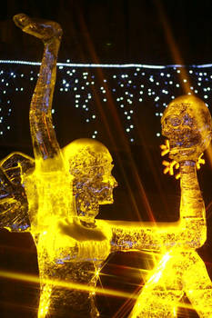 Ice 2009 - 12