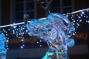 Ice 2009 - 13