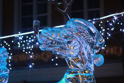 Ice 2009 - 13