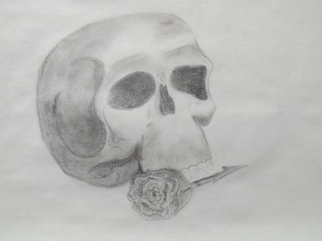 Skull