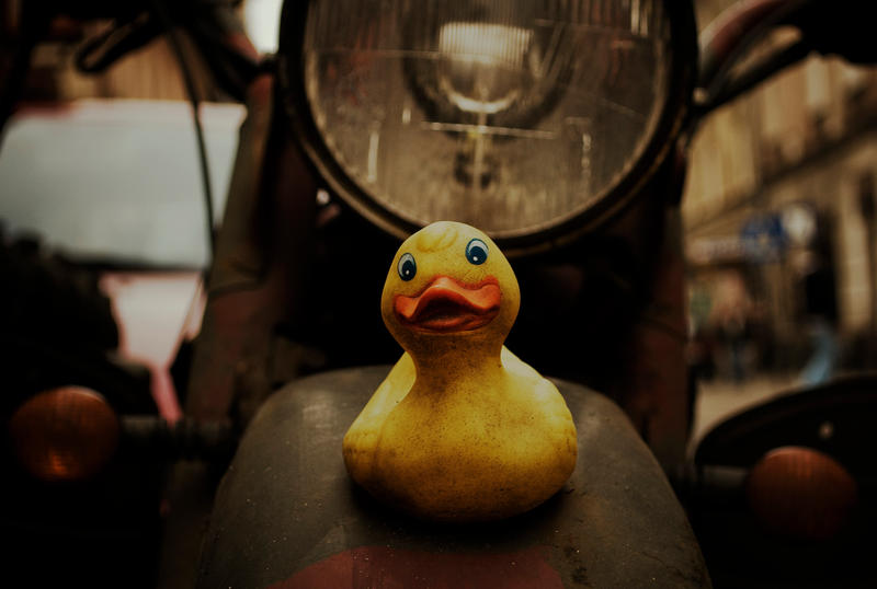 Ducky