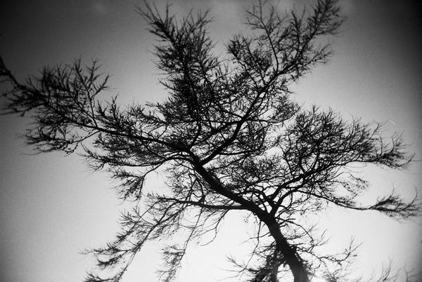 Strone Definition Strone by Megalithicmatt on DeviantArt