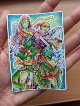 TMNT sticker