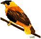 Bird pixel