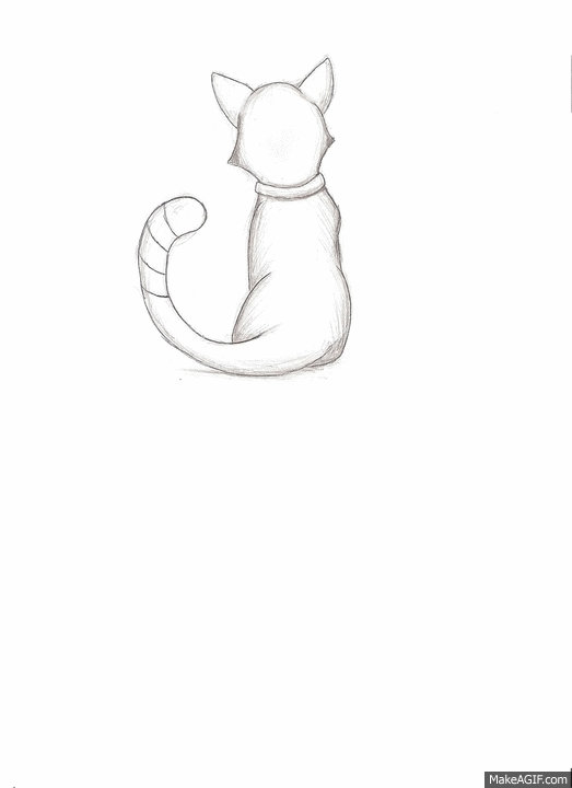 Flemy Cat Animation/Gif (Warrior cats) (my first) by Marie-Flemy on DeviantArt