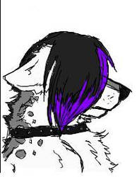 Purple Emo Wolf