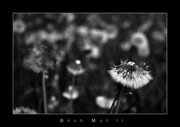 Dead May II