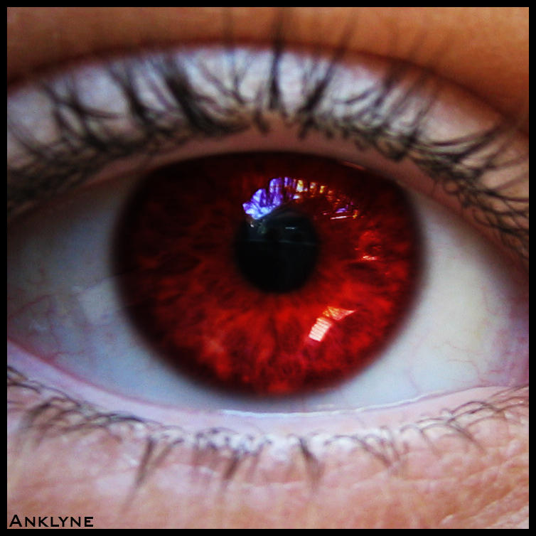Møde løg Symptomer Red Iris by Anklyne on DeviantArt