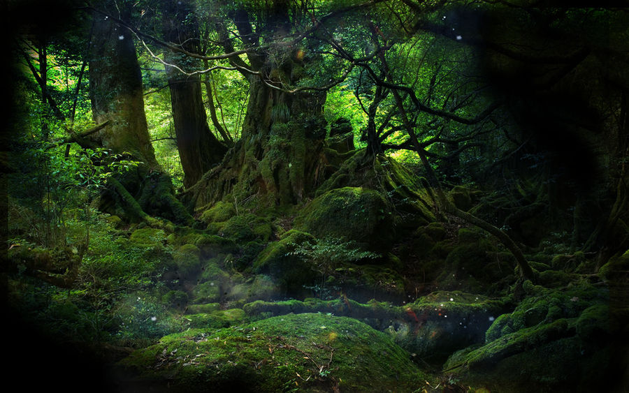 В чаще сказочного. Фантастический лес. Сказочный лес. Дремучий лес сказочный.