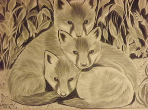 fox trio