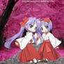 Hiiragi Twins loves Sakuras