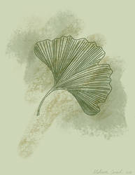 Ginkgo Leaf