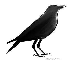 Minimal Raven