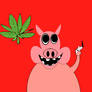 cannabis pig