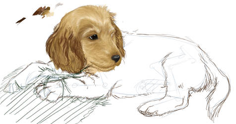 WIP - Puppy