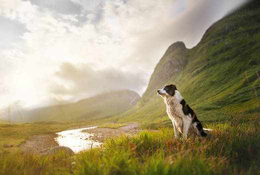 Altis in Glen Etive