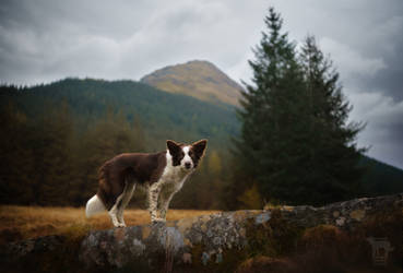 Luna in the Highlands