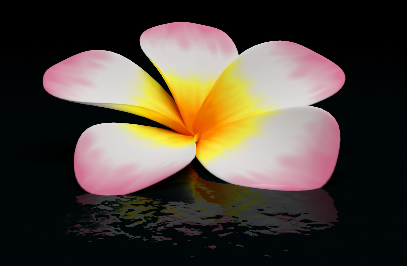 Plumeria