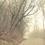 Lonely Roads