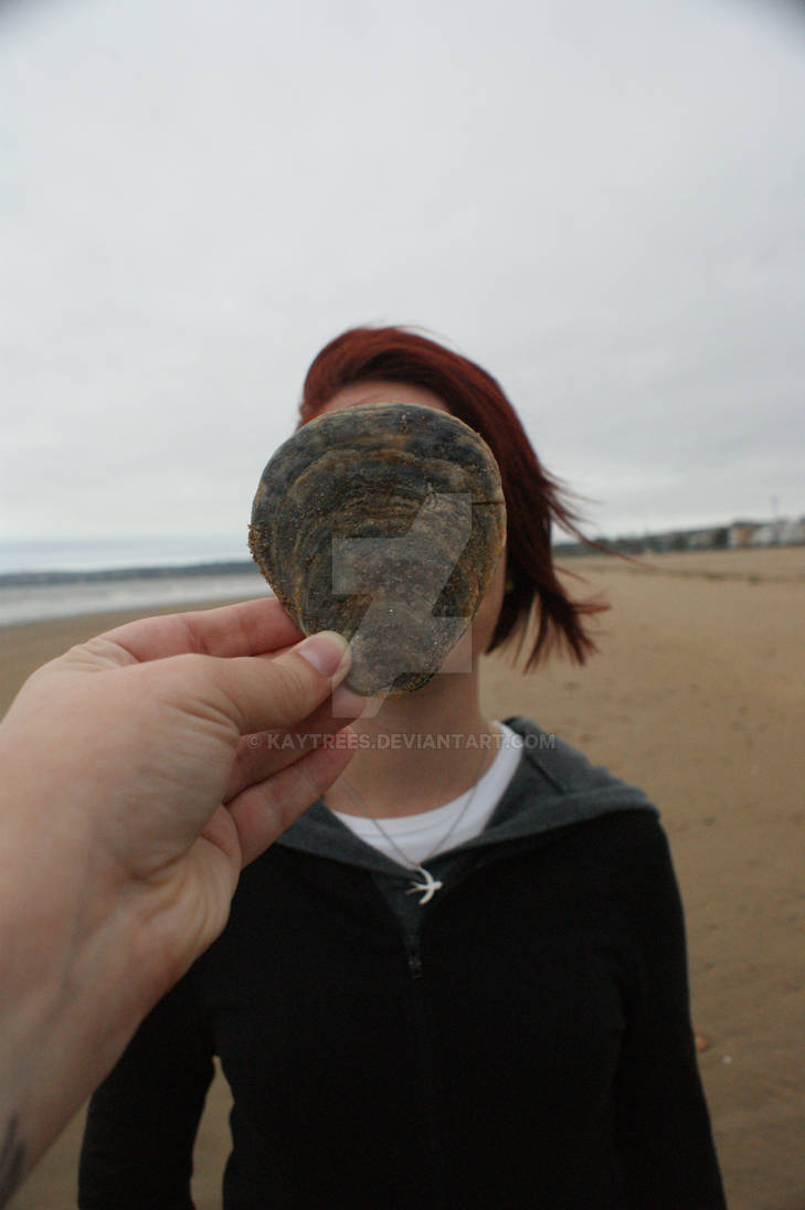 shell face by kaytrees on DeviantArt