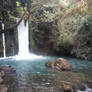 The Banias Waterfall I