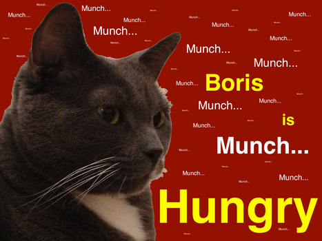 Boris is HUNGRY.