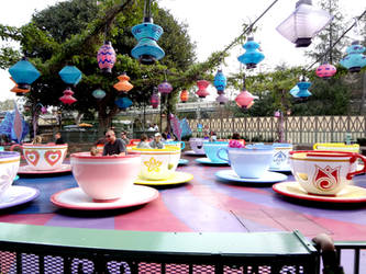 Teacups