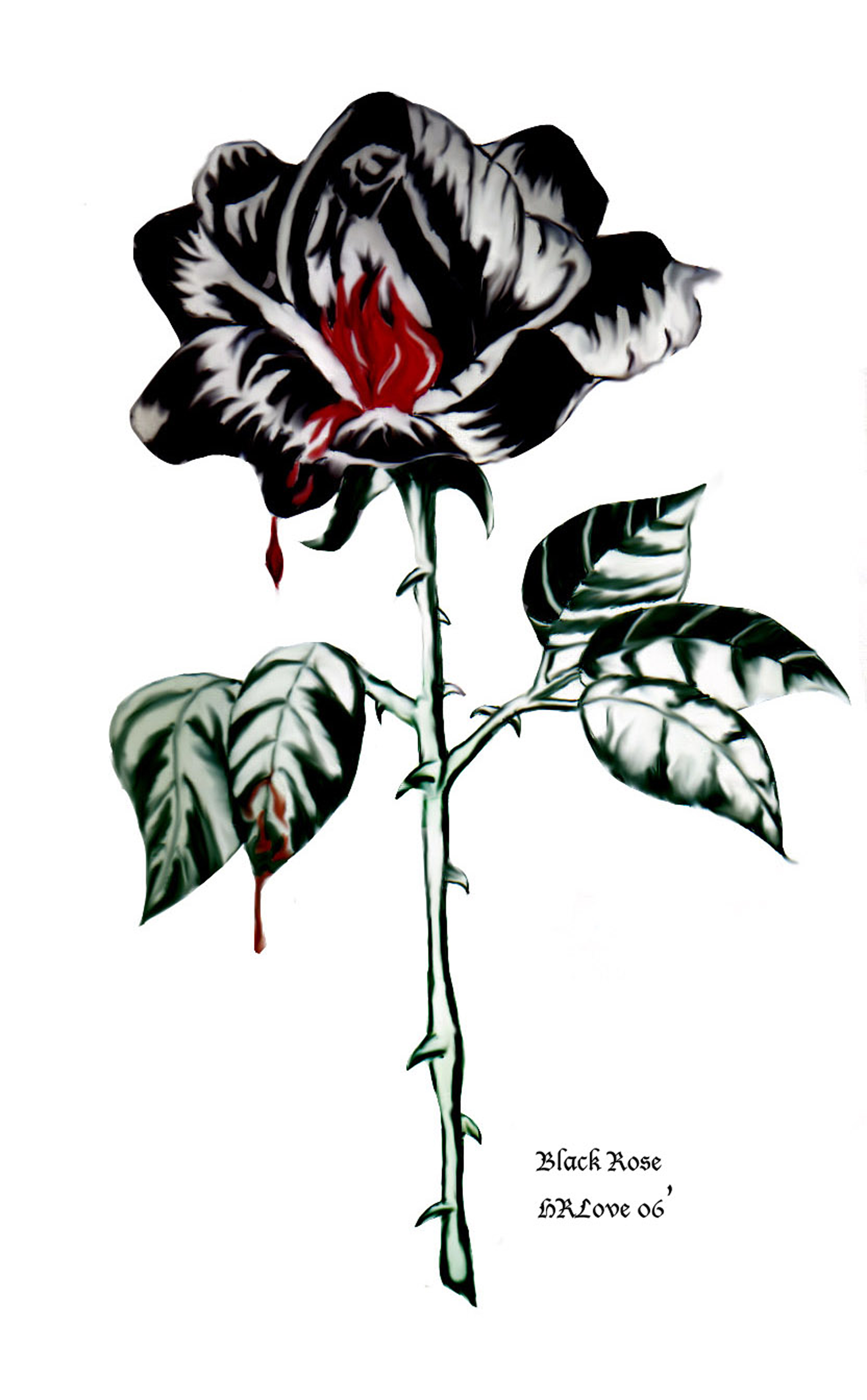 Black Rose By Laita On Deviantart