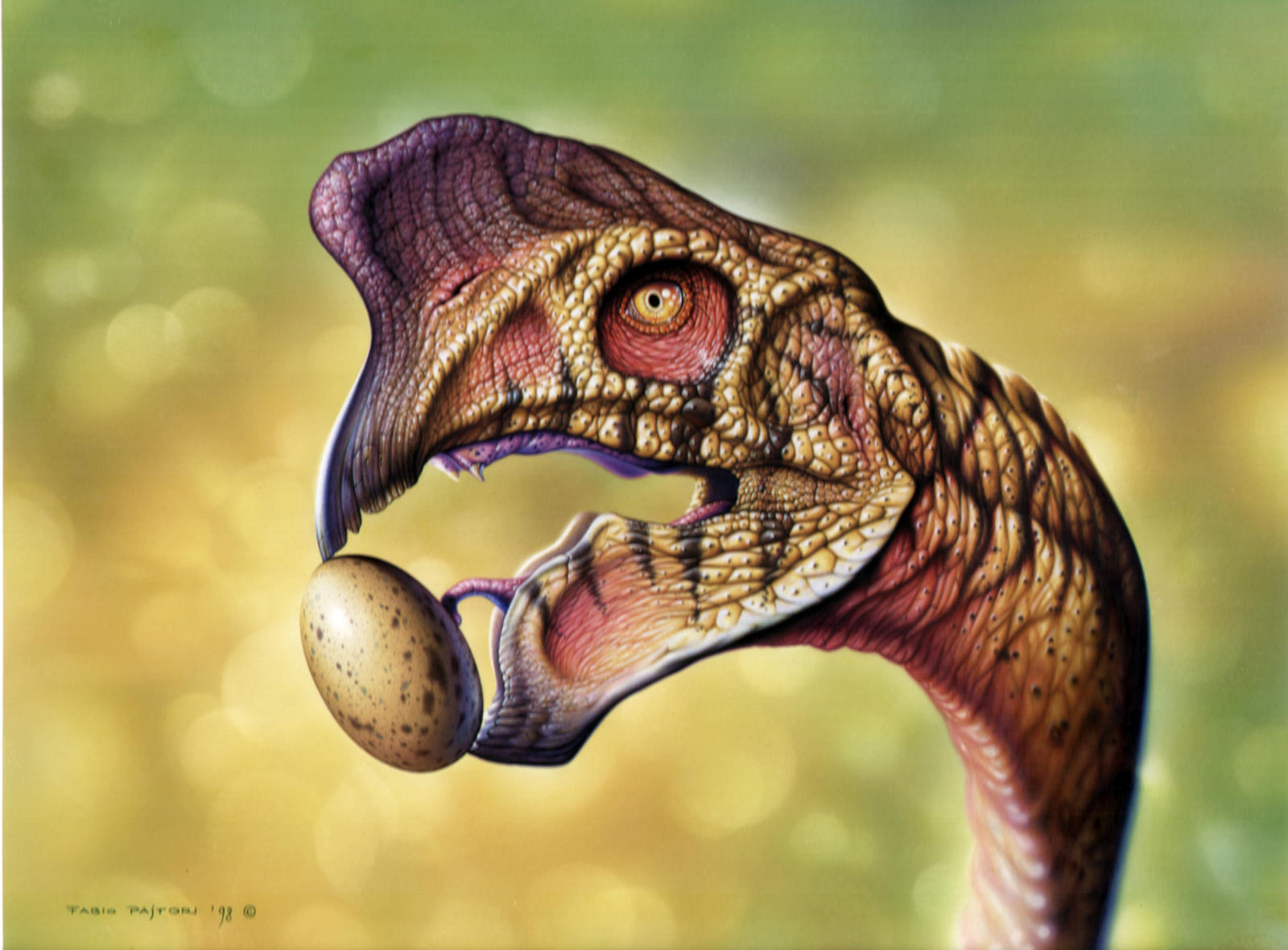Aviraptor Oviraptor philoceratops by PaleoPastori on DeviantArt
