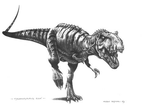 Tyrannosaurus rex