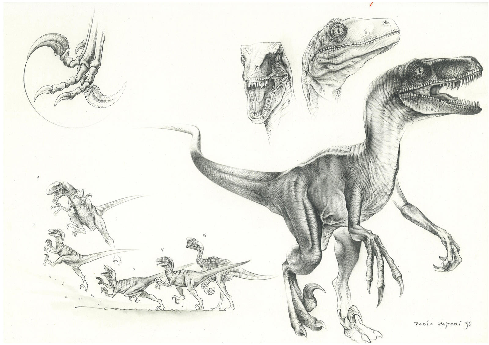 JP Velociraptor by PaleoPastori on DeviantArt