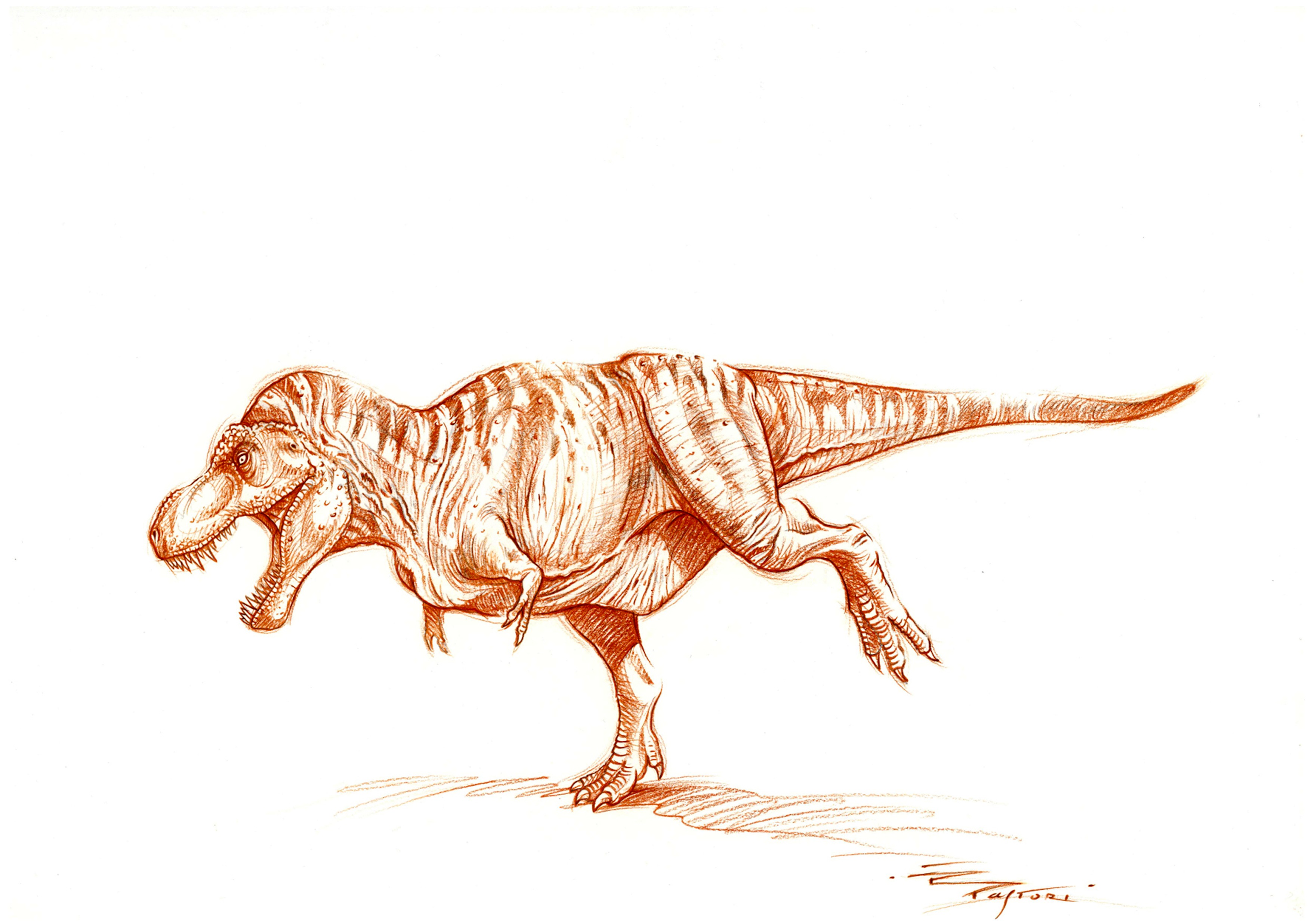 T.rex sketch