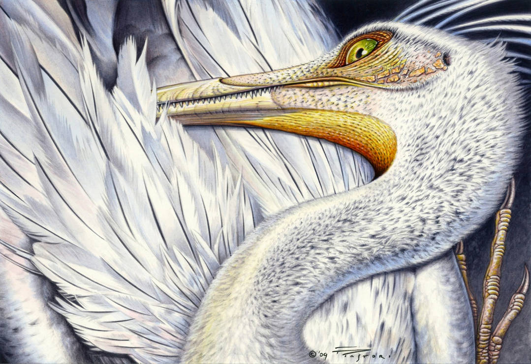 Unenlagia comahuensis by PaleoPastori