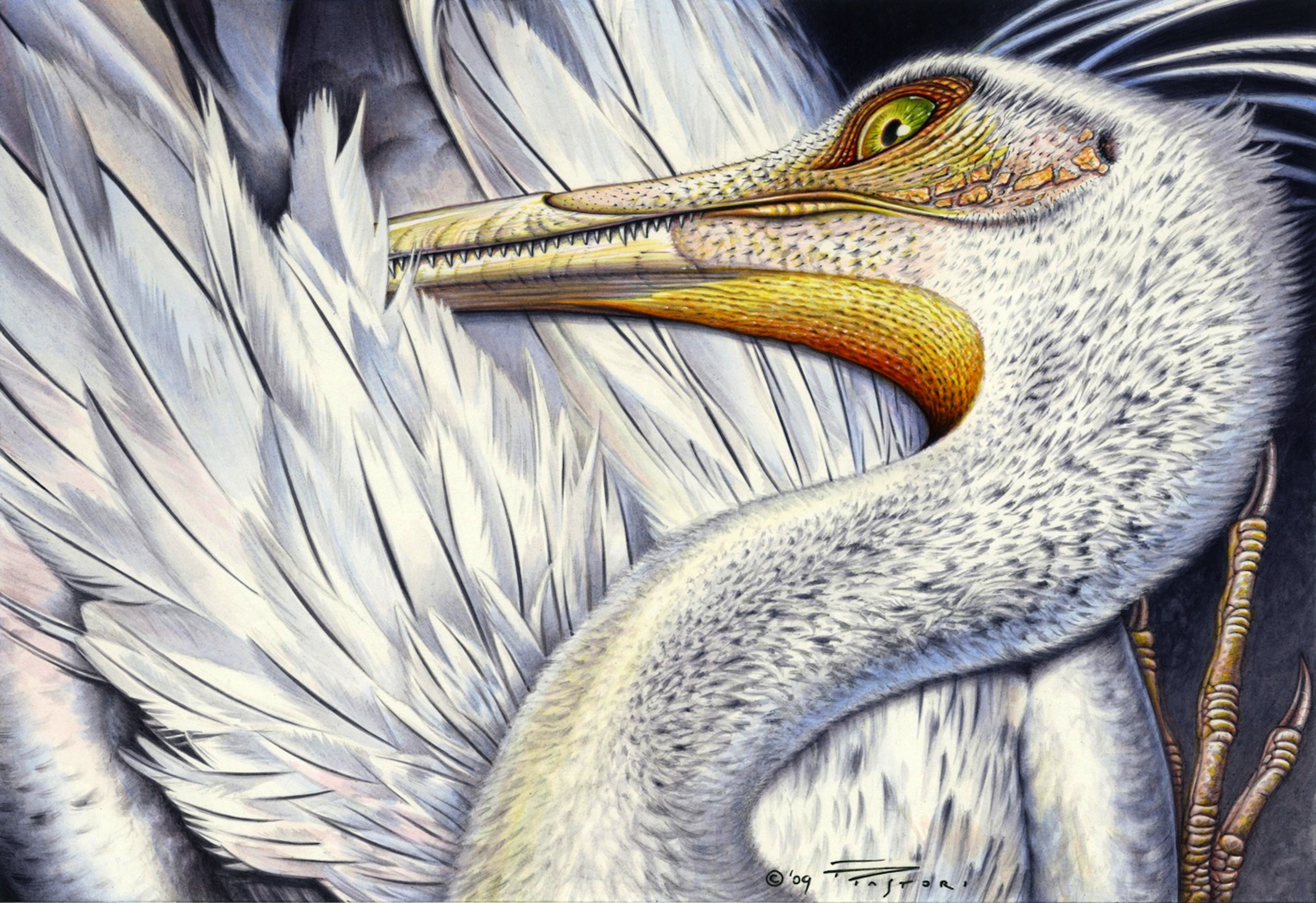 Unenlagia comahuensis by PaleoPastori