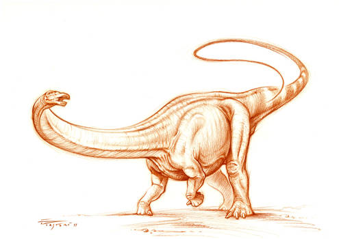 Apatosaurus ajax sketch