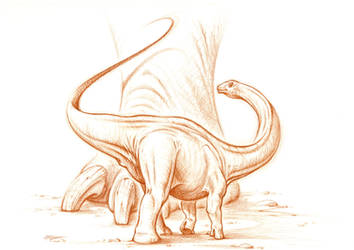 baby Apatosaurus ajax sketch